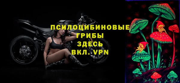 mdpv Тайга