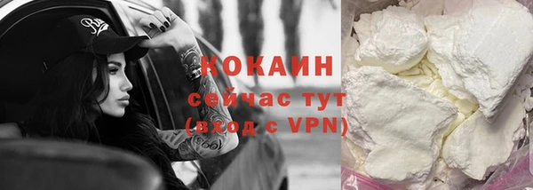 спайс Тавда