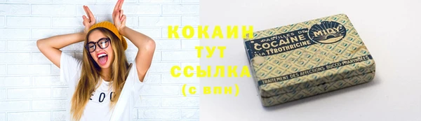 mdpv Тайга