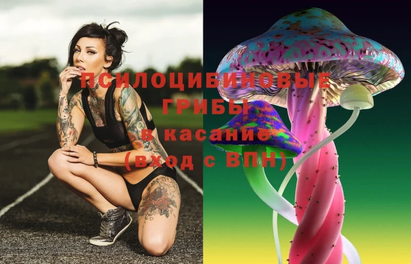 ECSTASY Сясьстрой