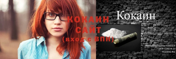 спайс Тавда