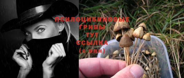 спайс Тавда