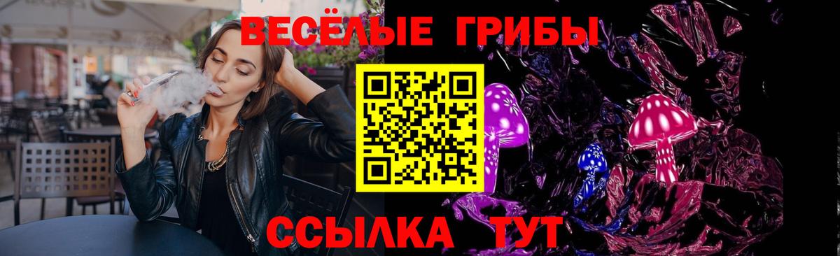 Псилоцибиновые грибы Psilocybe  купить наркотик  Иваново 